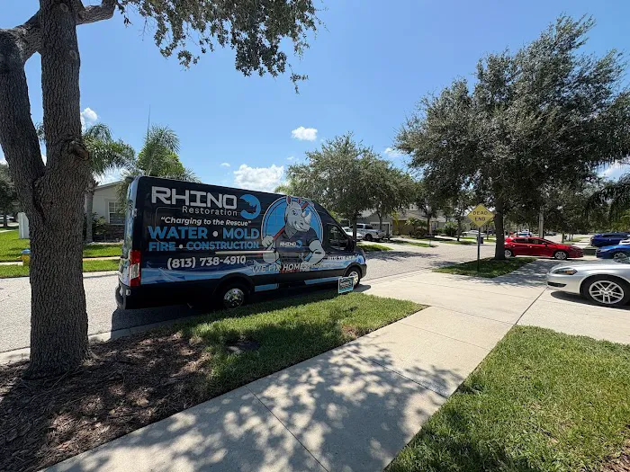 Rhino Restoration Picture 4