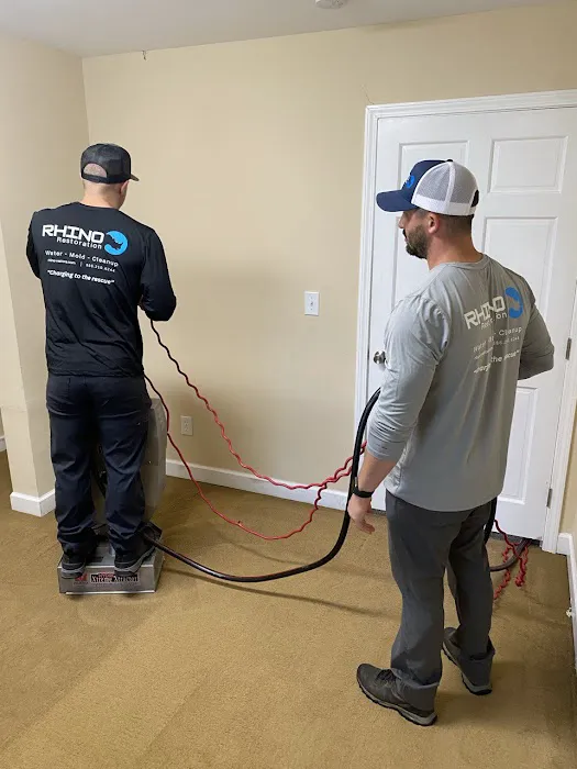 Rhino Restoration Picture 9