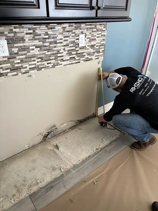 Rhino Restoration Picture 1