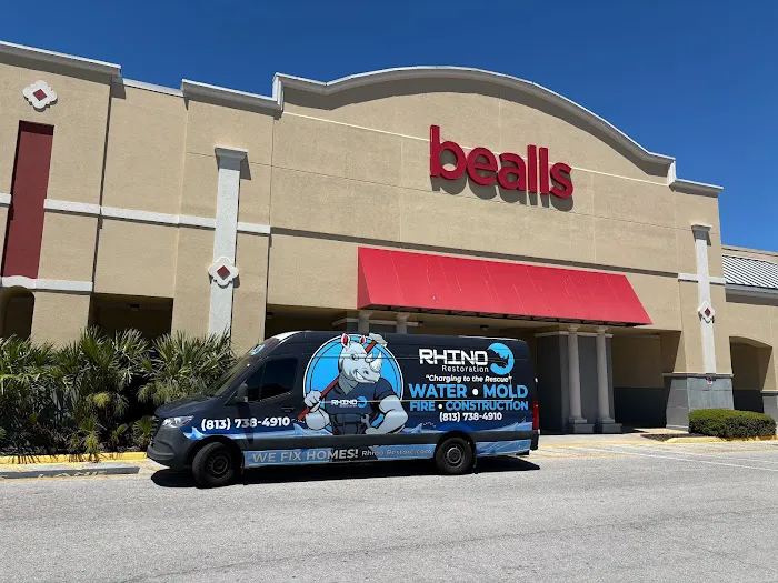 Rhino Restoration Picture 3