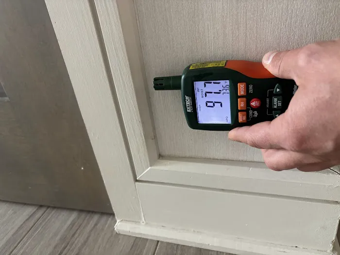 Rhino Restoration Picture 2