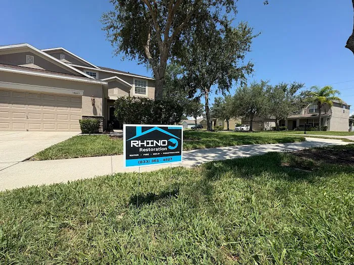 Rhino Restoration Picture 6