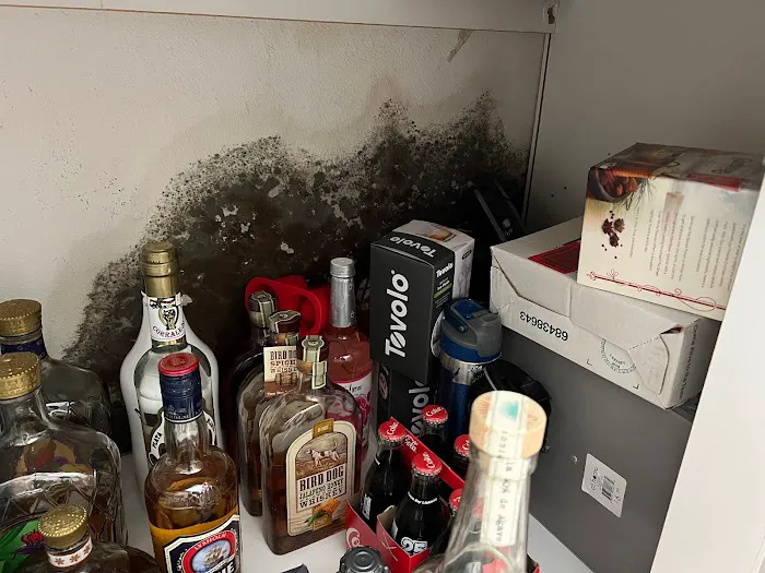 Germ Masters Environmental Picture 5