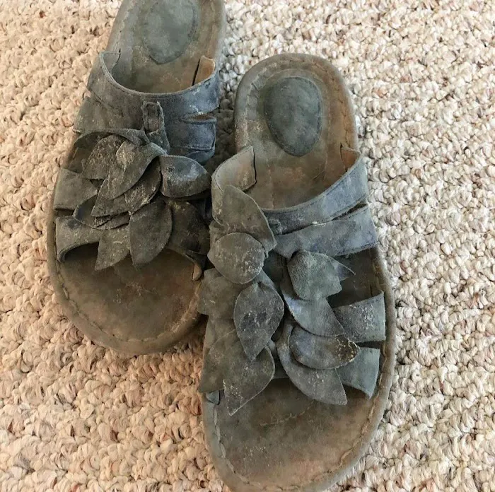 Germ Masters Environmental Picture 7