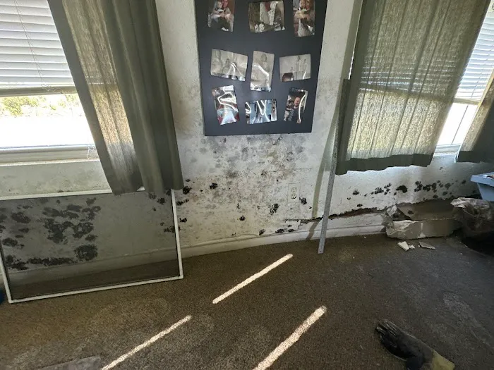 Germ Masters Environmental Picture 8