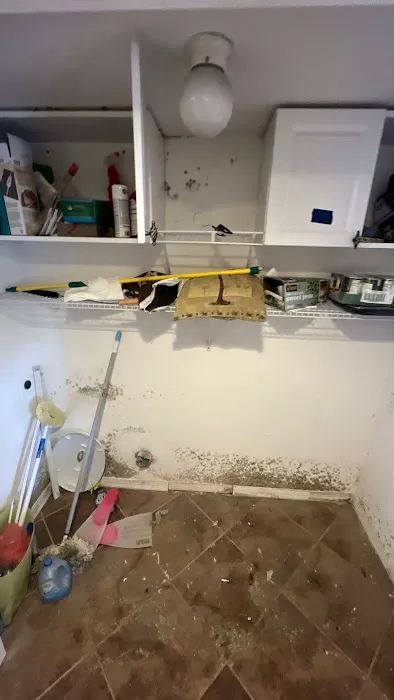 Germ Masters Environmental Picture 4