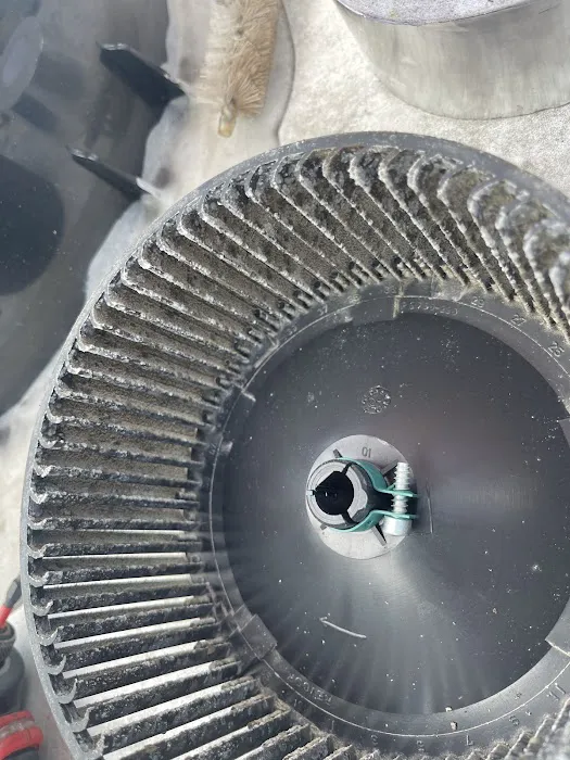 Germ Masters Environmental Picture 2