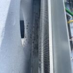 Germ Masters Environmental