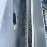 Germ Masters Environmental ico