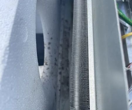 Germ Masters Environmental