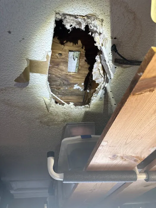 Germ Masters Environmental Picture 9