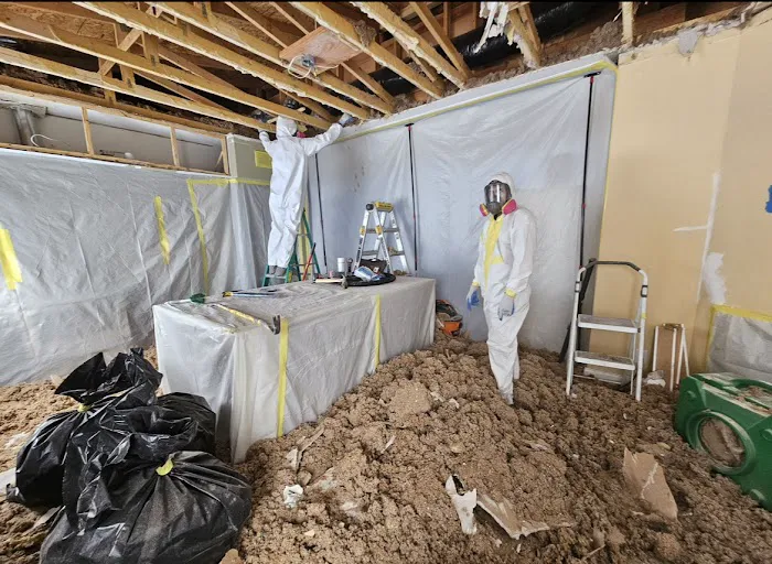 LV WFLA LLC Picture 10