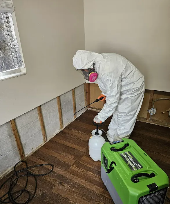 LV WFLA LLC Picture 3