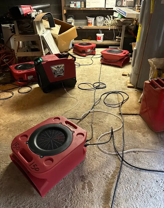 American Pro Carpet Cleaning & Restoration Picture 3