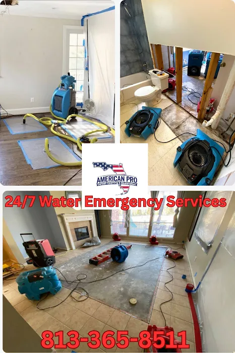 American Pro Carpet Cleaning & Restoration Picture 10