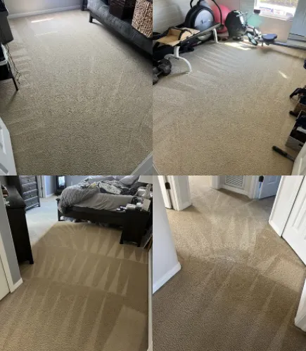 American Pro Carpet Cleaning & Restoration Picture 7