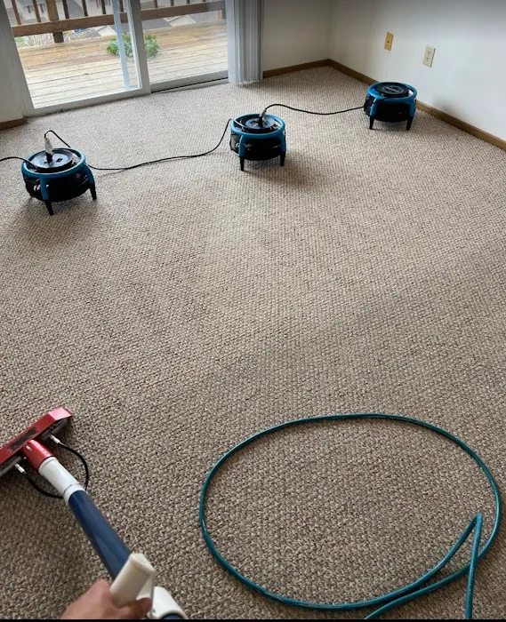 American Pro Carpet Cleaning & Restoration Picture 1