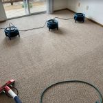 American Pro Carpet Cleaning & Restoration