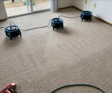 American Pro Carpet Cleaning & Restoration
