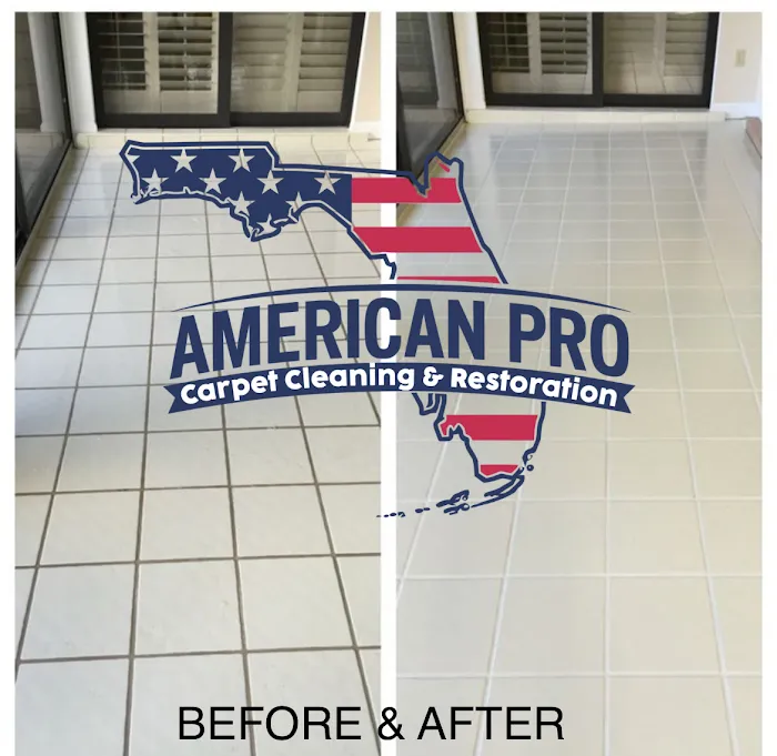 American Pro Carpet Cleaning & Restoration Picture 4