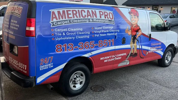 American Pro Carpet Cleaning & Restoration Picture 6