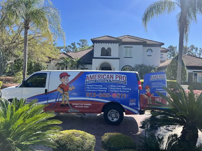 American Pro Carpet Cleaning & Restoration Picture 5