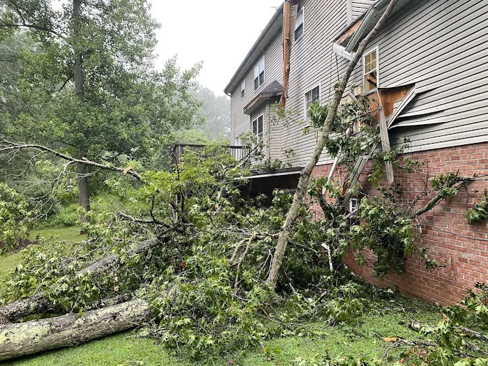 Protegrity Restoration Picture 9