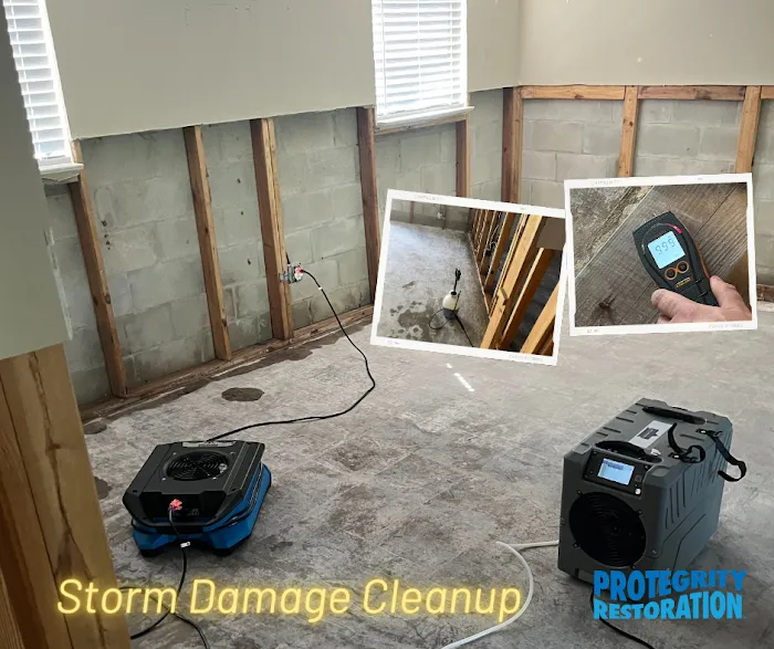 Protegrity Restoration Picture 8