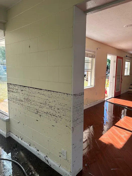 Tidal Restoration Picture 3