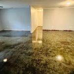 Building Restoration Services, Inc.