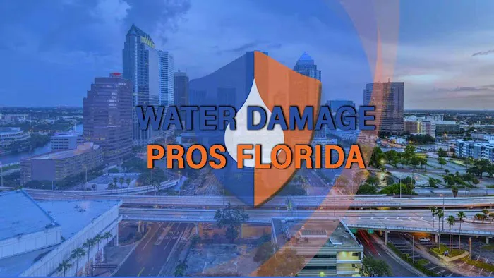 Water Damage Pros FL Picture 2