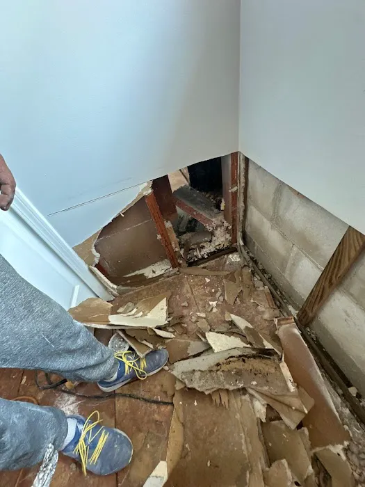 Water Damage Pros FL Picture 4