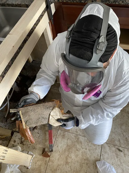 All Dry Services Tampa Bay Picture 1