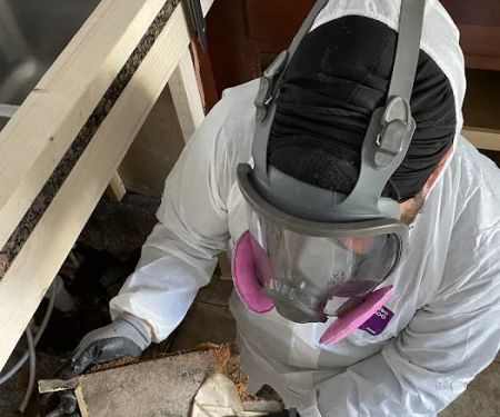 All Dry Services Tampa Bay