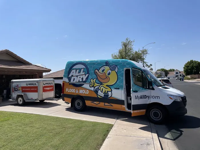 All Dry Services Tampa Bay Picture 5