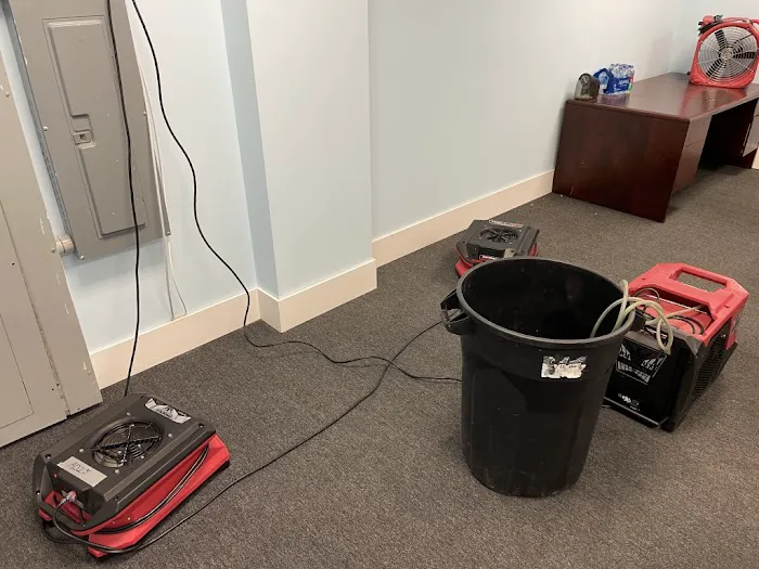 All Dry Services Tampa Bay Picture 7