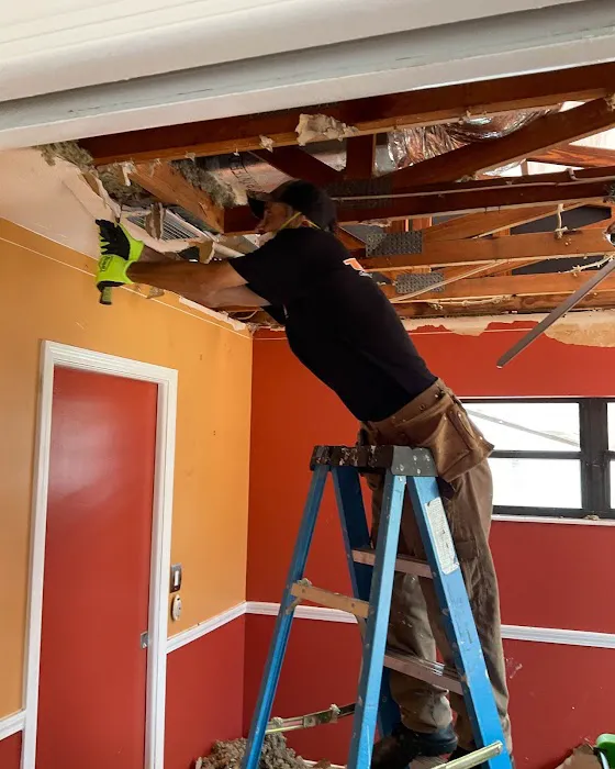 SERVPRO of Oldsmar/Westchase Picture 2