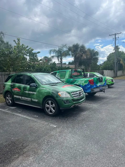 SERVPRO of Oldsmar/Westchase Picture 5