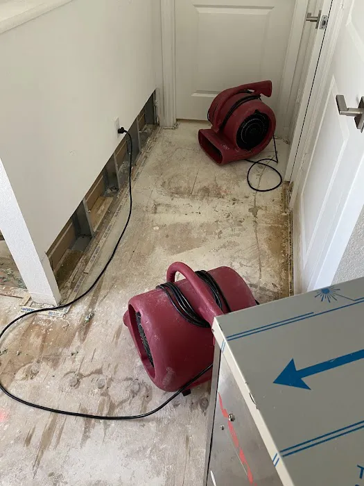 Experts Inc Picture 2