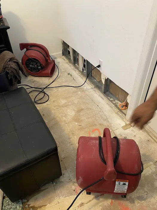 Experts Inc Picture 5