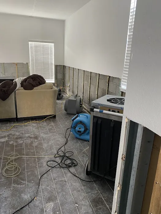 Experts Inc Picture 4