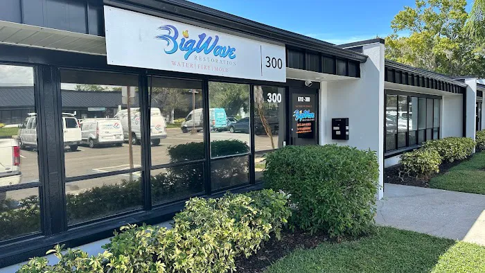 Big Wave Restoration Picture 3