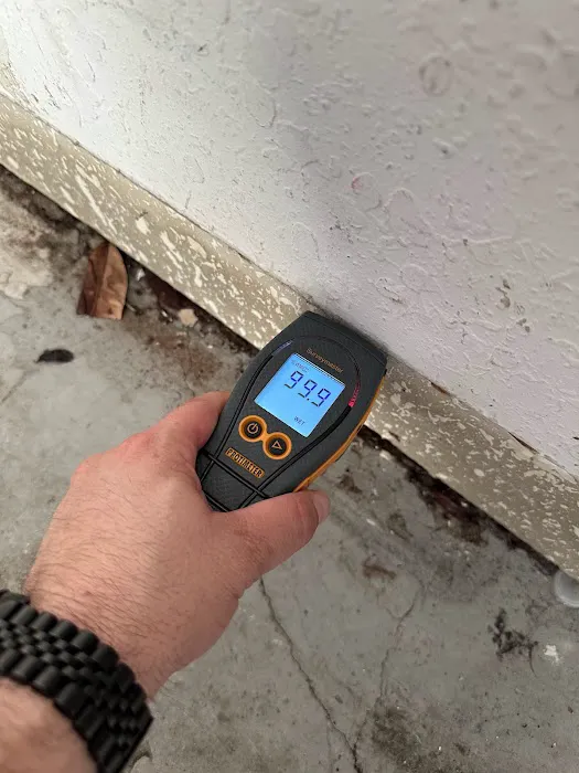 Big Wave Restoration Picture 5