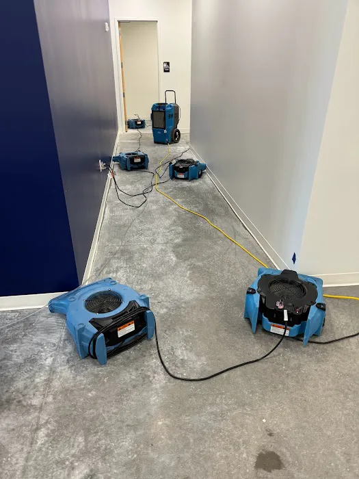 Big Wave Restoration Picture 4