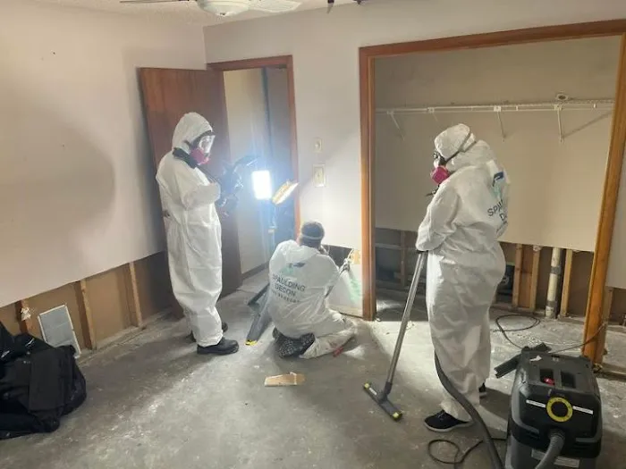 Spaulding Decon - Biohazard & Hoarding Cleaning Orlando Picture 10