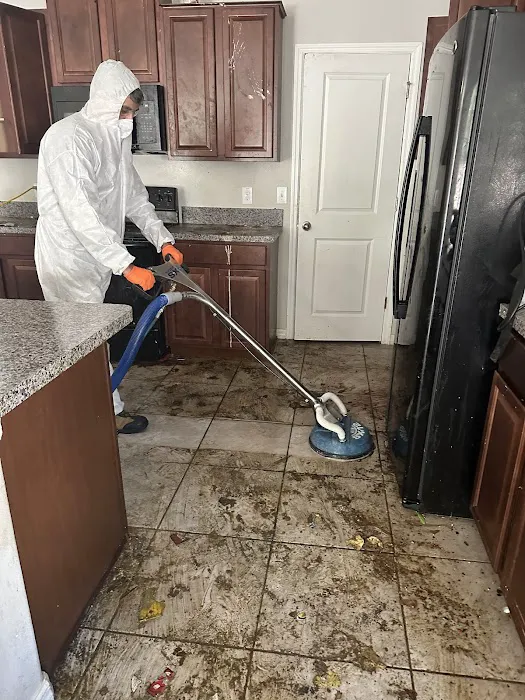 Expert Prorestoration L.L.C Picture 1