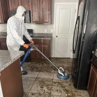 Expert Prorestoration L.L.C ico