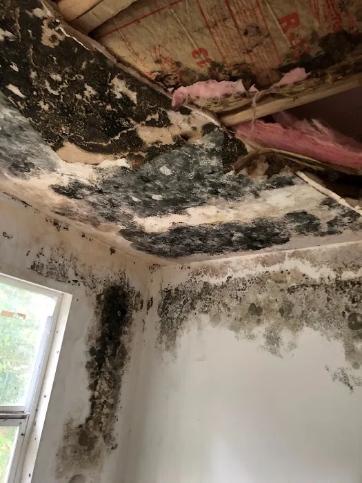 Dave The Leak Guy Picture 6