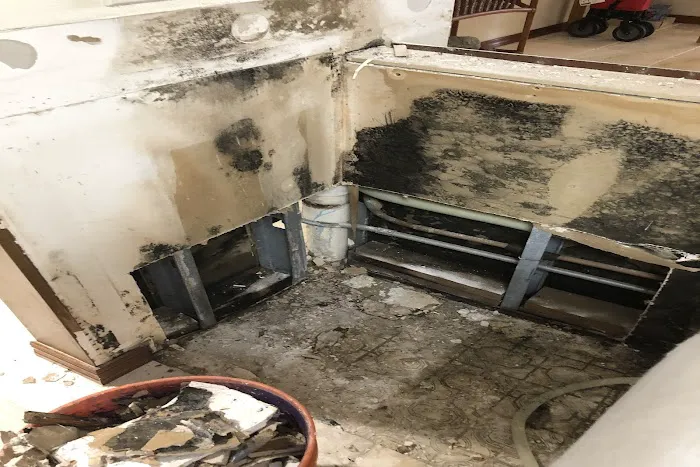 Dave The Leak Guy Picture 5