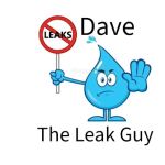 Dave The Leak Guy